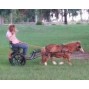 Easy Entry Small Mini Horse Cart Metal Floor w/45" Shafts w/16" Motorcycle Tires