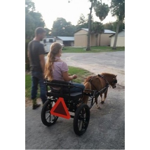 Easy Entry Small Mini Horse Cart Metal Floor w/45" Shafts w/18" Motorcycle Tires