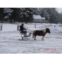 Sleigh Runners Pair For Easy Entry Mini Horse/Dog/Goat Cart - 3/4" Axle and 3 3/8" Hub