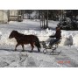 Sleigh Runners Pair For Easy Entry Mini Horse/Dog/Goat Cart - 5/8" Axle and 3 3/8" Hub