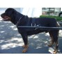 New Padded Nylon Dog Harness for EZ Entry Dog Cart-NIB