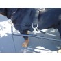 New Padded Nylon Dog Harness for EZ Entry Dog Cart-NIB